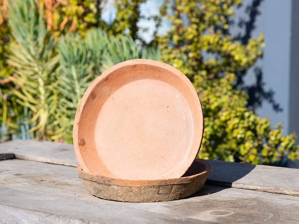 [IP-TSCR106MRS] NOTTING HILL MOSSED REDSTONE 10.5" SAUCER