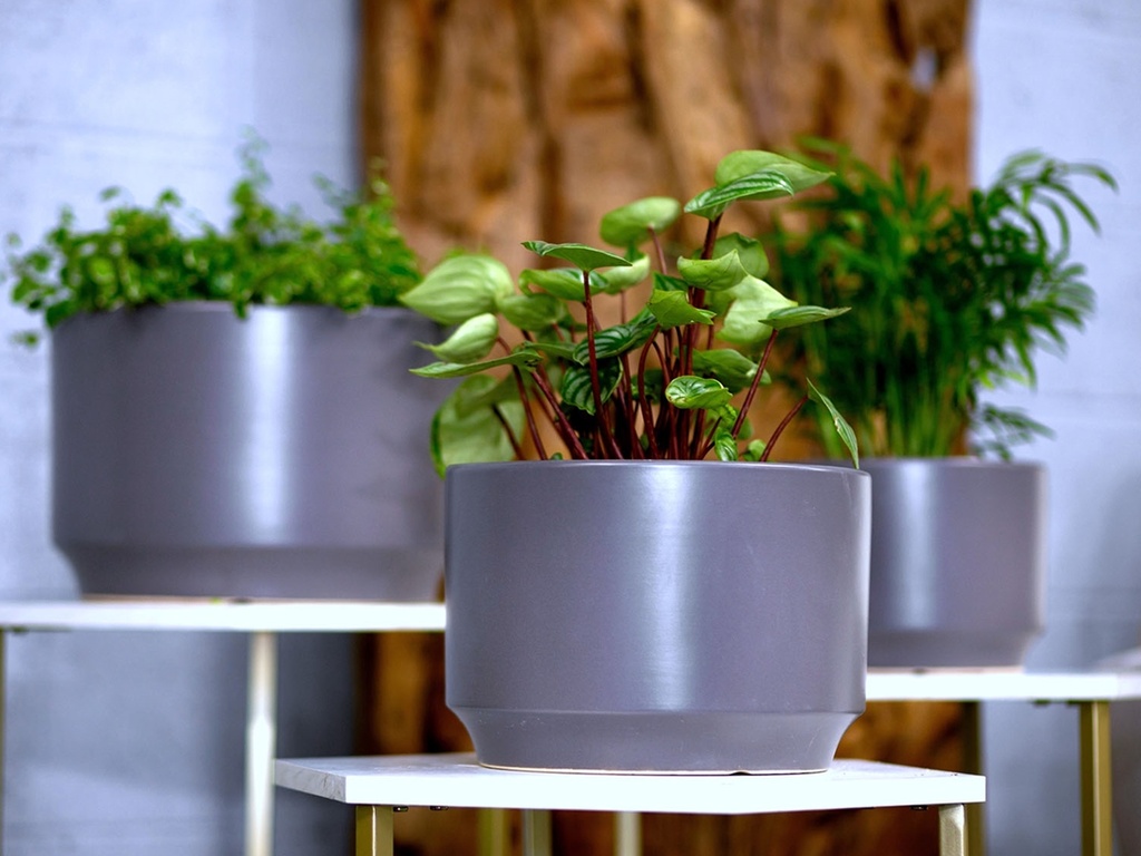 [PC-3305JGY-S3] LARGE VENUS PLANTER, JET GREY, SET OF 3- 12"X8.5", 10"X7", 8"X6"