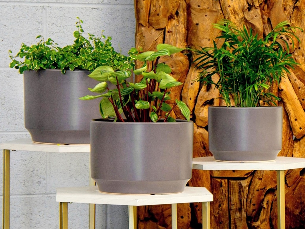 [PC-3305PTP-S3] LARGE VENUS PLANTER, PASTEL TAUPE, SET OF 3- 12"X8.5", 10"X7", 8"X6"