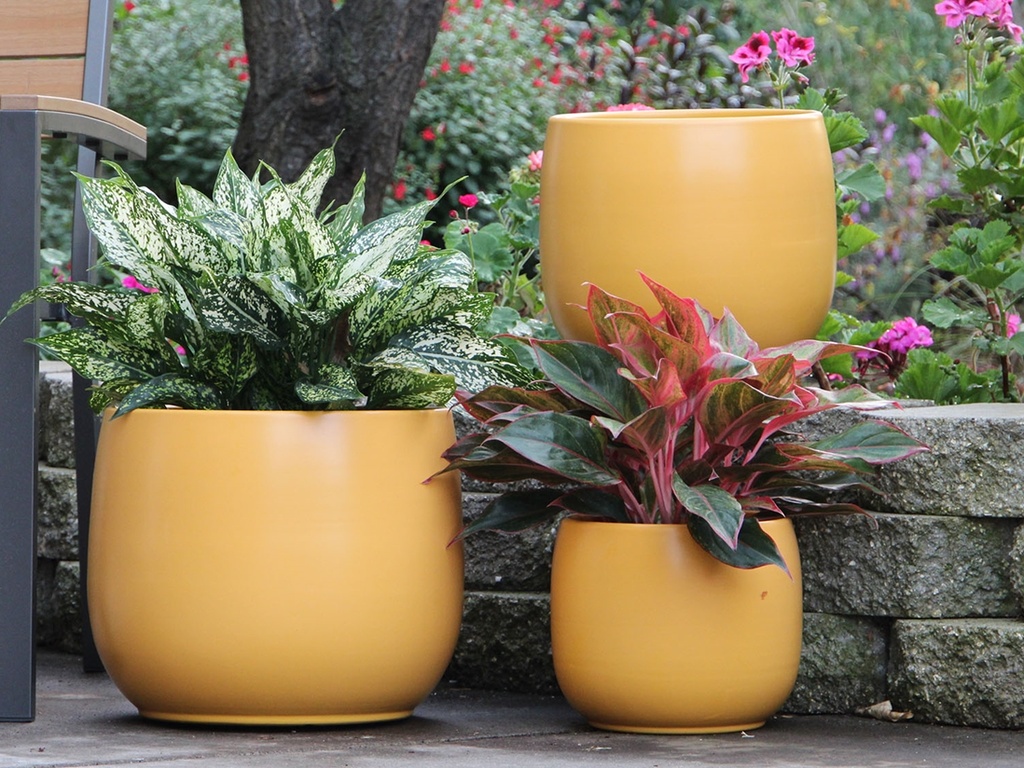[PD-5001MST-S3] DAHLIA PLANTER, MUSTARD, SET OF 3- 15"X12.5", 12"X11", 10"X8"