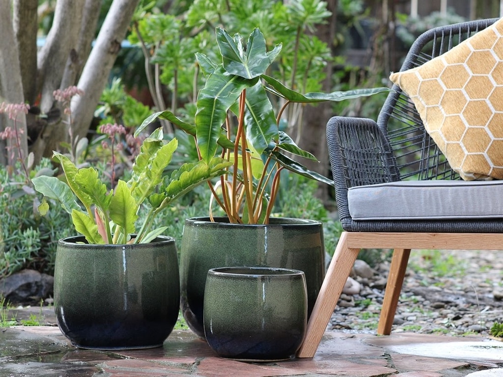 [PD-5001TPG-S3] DAHLIA PLANTER, TROPI GREEN, SET OF 3- 15"X12.5", 12"X11", 10"X8"