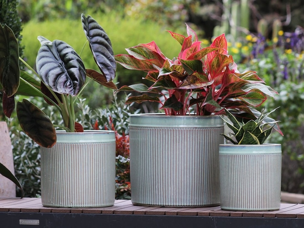 [PD-5002PTG-S3] FUCHSIA PLANTER, PASTEL GREEN, SET OF 3- 12"X12",  9.5"X9.5", 8"X8"