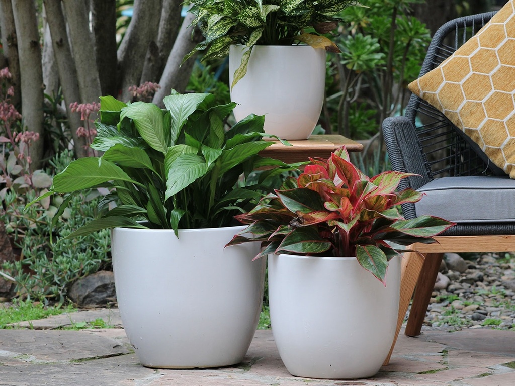 [PD-5007BWH-S3] CAMILIA PLANTER, BRIGHT WHITE, SET OF 3- 15"X13.5", 12"X12", 10"X9"