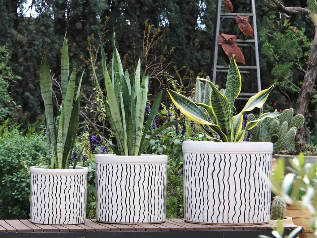 [PD-5202SMC-S3] CROCK JAR PLANTER, SEIMIC, SET OF 3- 15"X13.5", 12"X12", 10"X9"