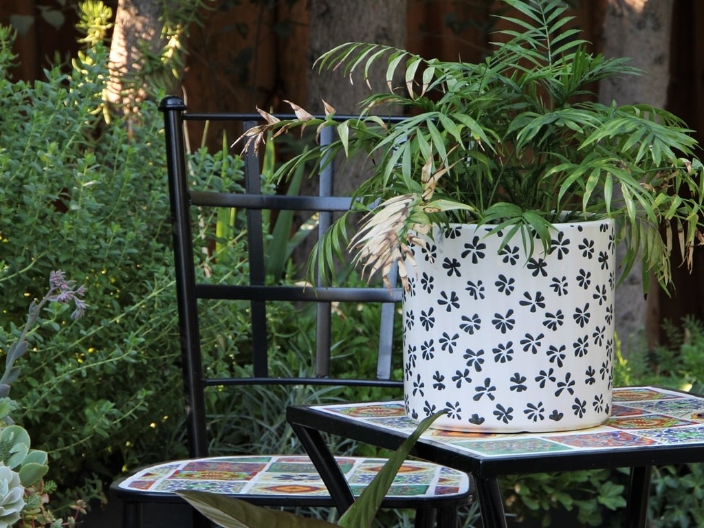 [PD-A5006BPS-B-C2] CYLINDER STAMPED FLORAL PLANTER, BLACK PANSY, 9.5"X9.5", SOLD IN CASE OF 2