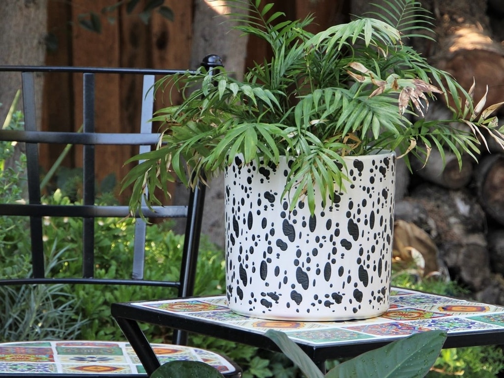 [PD-A5006DMT-C-C4] CYLINDER STAMPED FLORAL PLANTER, DALMATION, 8.0"X8.0", SOLD IN CASE OF 4