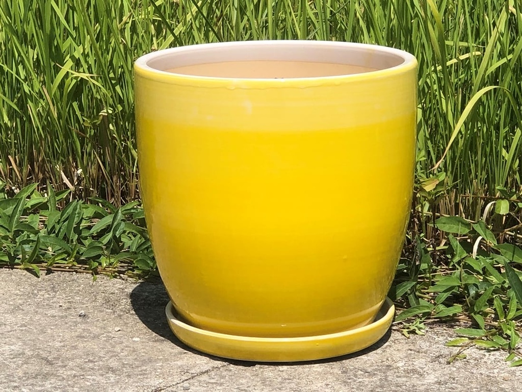 [PD-A5007OMY-B-C2] DAFFODIL PLANTER W/ SAUCER, OMBRE YELLOW, 9.5"X9.5", SOLD IN CASE OF 2