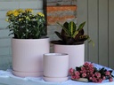 FLUTED CYLINDER PLANTER WITH ATTACHED SAUCER, PASTEL BABY PINK, 9.0"x 9.5", SOLD IN CASE OF 4