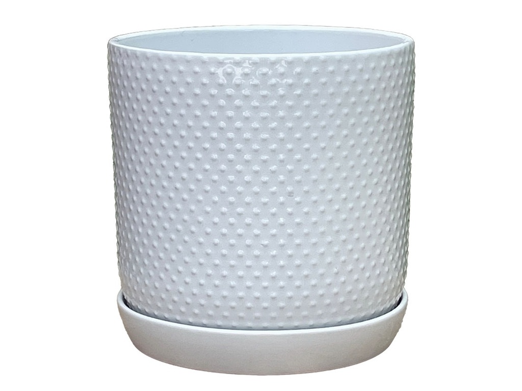 [PD-I6088BWH-C-C6] DOTTED CYLINDER PLANTER WITH ATTACHED SAUCER, BRIGHT WHITE, 7.0"x 7.5", SOLD IN CASE OF 6