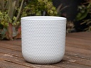 DOTTED CYLINDER PLANTER (NO SAUCER), BRIGHT WHITE, 11"X11.5", SOLD IN CASE OF 2