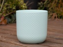 DOTTED CYLINDER PLANTER (NO SAUCER), PASTEL GREEN, 11"X11.5", SOLD IN CASE OF 2