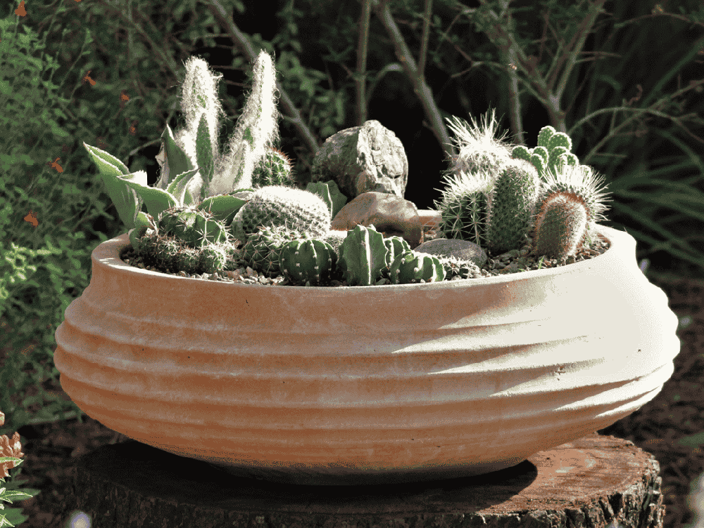 [PT-G0016E] PIATELA PLANTER, 20.5"x8.5"