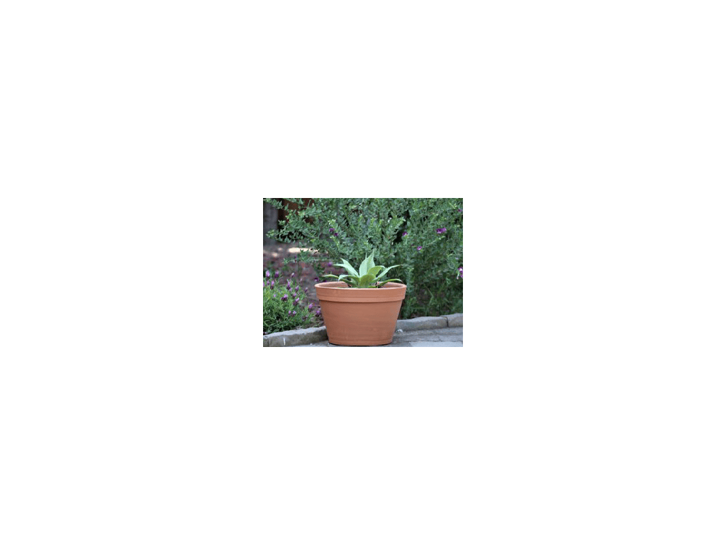 [PT-M0004] BUCKET PLANTER, 7.0"X5.0"