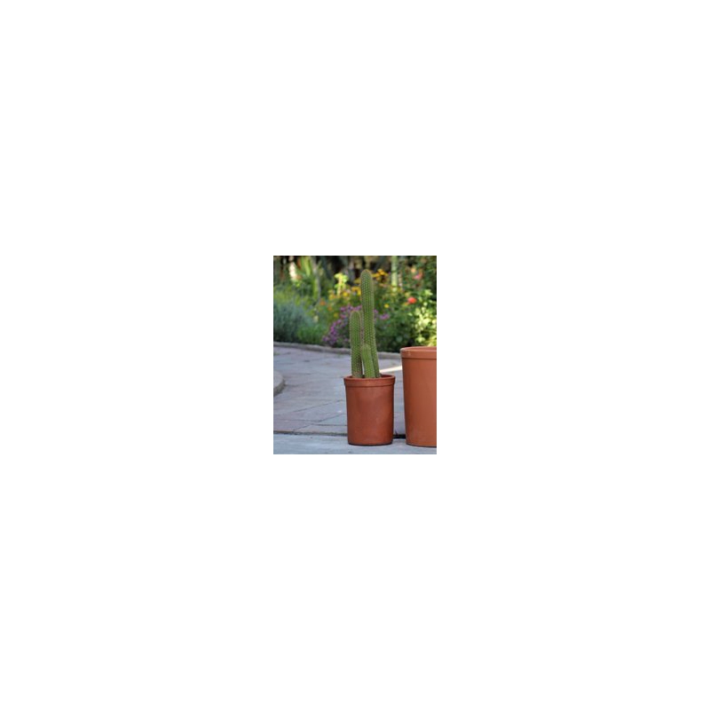 [PT-M0016] CYLINDRICAL PLANTER, 8.0"X11.0"