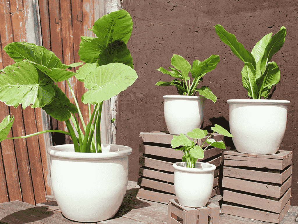 [PV-CG800WST-S4] CANA GARDEN PLANTER, WHITE SATIN, SET OF 4-  24"X20", 19"X17", 16"X13", 12"X10"