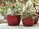 LOW CANA GARDEN PLANTER, LAVISH RED,SET OF 3- 21"X13.5", 17"X12", 13"X9"