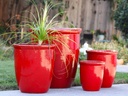 HIGH CANA POTS, LAVISH RED, SET OF 4 - 24"X27", 20"X22", 16"X19", 12"X11"
