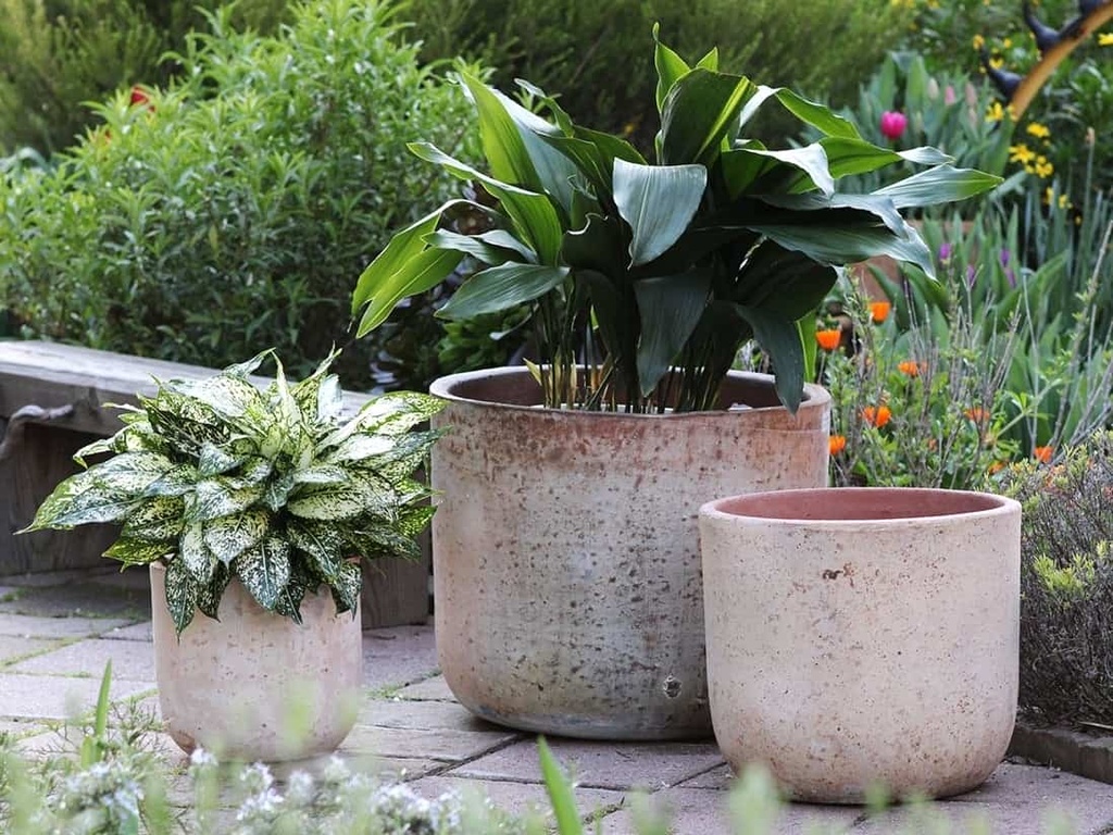 [PV-TS2344HWH-S3] MILANO SHORT BARREL PLANTER, HEIRLOOM WHITE, SET OF 3 - 19.0" X 14.0", 15.5" X 12.5", 12.5" X 11.5"