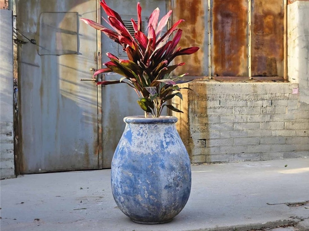 [PV-TSC2178AGS-B] TURKISH JAR, AEGEN SEA, SIZE B, 19"X24"