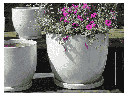 VALENCIA PLANTER WITH ATTACHED SAUCER, WHITE SPOT, 11.5"X10.0"