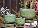 FINGER POT WITH ATTACHED SAUCERS, CITRUS, SIZE A, 7.0"x6.5"x5.5" (SOLD IN CASE OF 4)