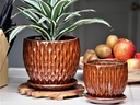 OAK WOOD FLOWER POT WITH ATTACHED SAUCER, SIZE A, SODONA, 7.5" x 6.5" (SOLD IN CASE OF 4)