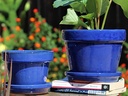 STANDARD POTS, SIZE A, FALLING BLUE, 8" X6.5", ATTACHED SAUCER (SOLD IN CASE OF 4)