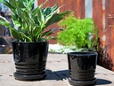 KONA INDOOR PLANTER WITH ATTACHED SAUCER, BLACK, 5"X4.5" (SOLD IN CASE OF 6)