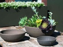 TURN TABLE BOWL, ESPRESSO CLAY, SET OF 3 - 12.0" X 4.2", 9.0" X 3.0", 5.0" X 2.0" (SELL IN CASE OF 2)