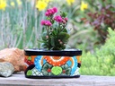 SMALL CRADLE PLANTER, 9.5" x 5.5" x 4.5", SOLD IN CASE O F4