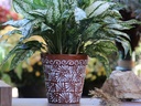 GARDEN VASE POT, LARGE, 7.5" x 8", CHRYSANTHEMUM TERRA COTTA, SOLD IN CASE OF 2