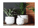 CORRUGATED CUP PLANTER WHITE CONCRETE 6.0_X5.0_ SOLD IN CASE OF 8