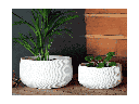 CORRUGATED BOWL PLANTER WHITE CONCRETE 8.5_ X 4.5_ SOLD IN CASE OF 4