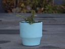 ART DÉCOR ROUND PLANTER, SKY BLUE, 6.5"X6.5", SOLD IN CASE OF 6