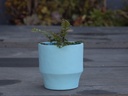 ART DÉCOR ROUND PLANTER, SKY BLUE, 5.0"X5.0" SOLD IN CASE OF 8