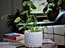 ART DÉCOR HONEY COMB PLANTER, BLANK WHITE, 5.5"X4.5" SOLD IN CASE OF 8