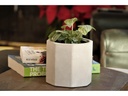GEOMETRY STRIDE PLANTER, POLISHED CONCRETE, 5"x4.5", SOLD IN CASE OF 12