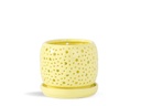 RAIN DROP ORCHID PLANTER, PASTEL YELLOW, 6.0"X5.5", CASE OF 6