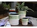JEWEL MARTINI PLANTER, SAVANNAH MOSS, 4.5" X 4.0", SOLD IN CASE OF 9