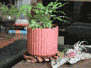 BRUSH COMB PLANTER, HIBISCUS, 5.5"x5" SOLD IN CASE OF 8