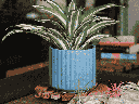 BRUSH COMB PLANTER, DENIM, 8"x8" SOLD IN CASE OF 4