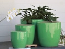 FIDDLE LEAF TREE PLANTER, TEA GREEN BRIGHT, SET OF 4- 19"X17" 16"X16" 13"X13", 10.5"X10.5"