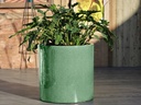 DRACAENA PLANTER, TEA GREEN BRIGHT, SET OF 3- 16"X16", 13"X13", 10.5"X10"