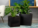 SQUARED OLIVE TREE PLANTER, STEEL BLACK, SET OF 2- 14.0"X14.0", 12.0"X12.0"