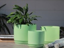 LARGE COMET PLANTER  WITH ATTACHED SAUCER, TEA GREEN SATIN, SET OF 3- 12"X10" 10"X8.5" 8"X8"