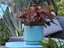MID MODERN PLANTER WITH DETACHED SAUCER, AQUA MARIN SATIN, 10.0"X9.0", 10.0"X2.0"