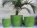 CAMILIA PLANTER, LIGHT GREEN, SET OF 3- 15"X13.5", 12"X12", 10"X9"