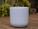 DOTTED CYLINDER PLANTER (NO SAUCER), PASTEL LAVENDER, 11"X11.5", SOLD IN CASE OF 2