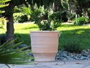 GLASTRA PLANTER, 23.5"x23.5"