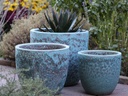 COCO POTS, CORAL GROVE, SET OF 3- 19"X17", 15'X13", 12"X11"